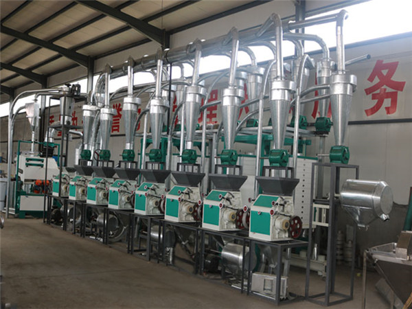 6FTF-30T面粉機組